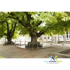School Pannerden 26-08-2011 Coll. P.Snip (20)